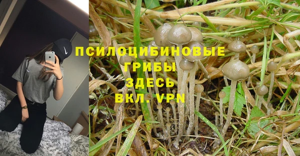 сатива Переславль-Залесский