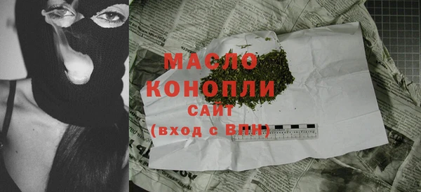 стаф Пересвет
