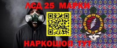 стаф Берёзовский