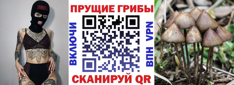 нарко площадка наркотические препараты  Коряжма  Галлюциногенные грибы ЛСД  купить наркотики сайты  omg сайт 