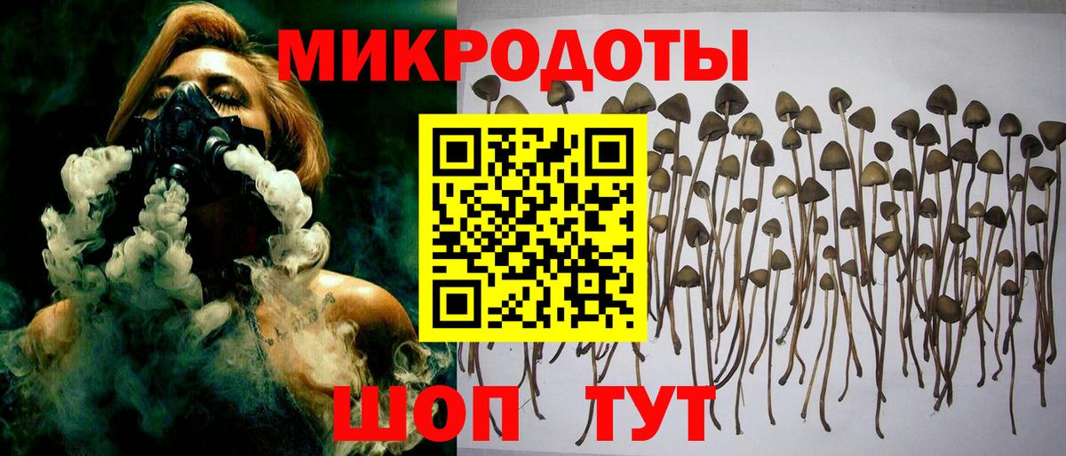 Галлюциногенные грибы Psilocybine cubensis  Вход с VPN  Псилоцибиновые грибы MAGIC MUSHROOMS  Коряжма 