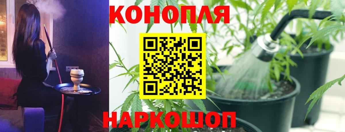 МАРИХУАНА White Widow  Вход с VPN  Коряжма  МАРИХУАНА планчик  Шишки марихуана Amnesia 