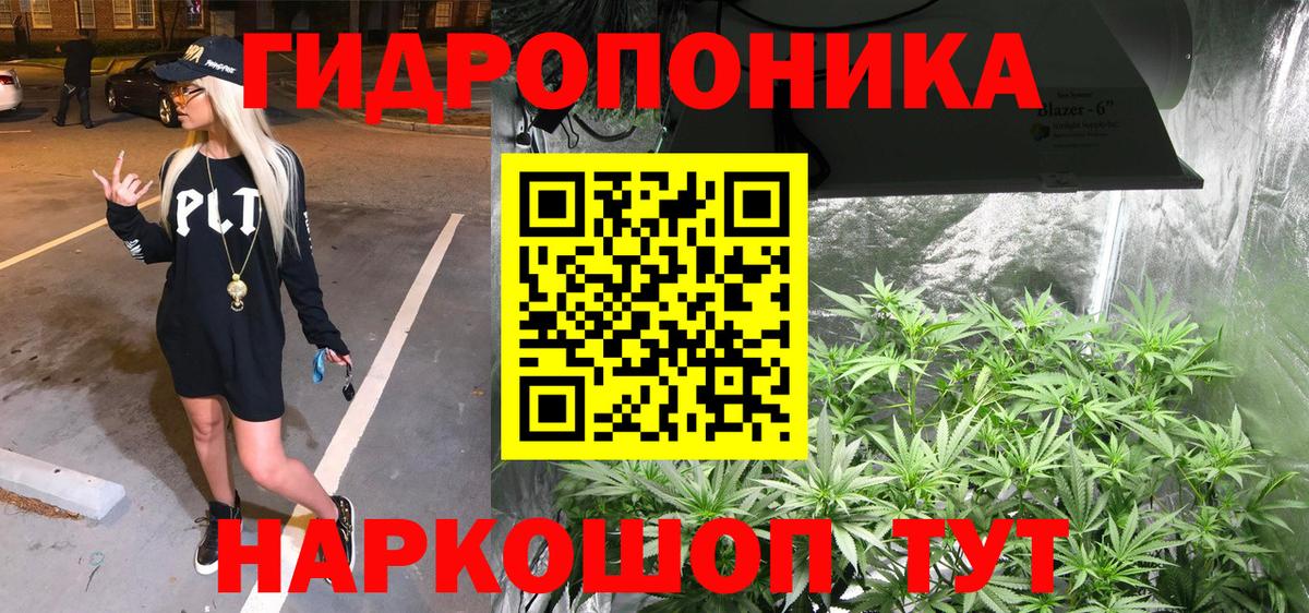 Шишки марихуана план Коряжма